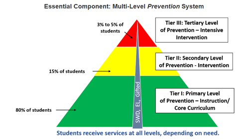 Essential Component: Multi-Level Prevention System 